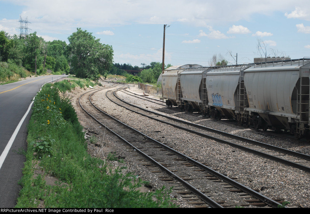 View Of Tracks Departing Golden Yard